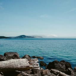 🎥 1월 8일 릴스 - 새로운 시작의 에너지 ✨